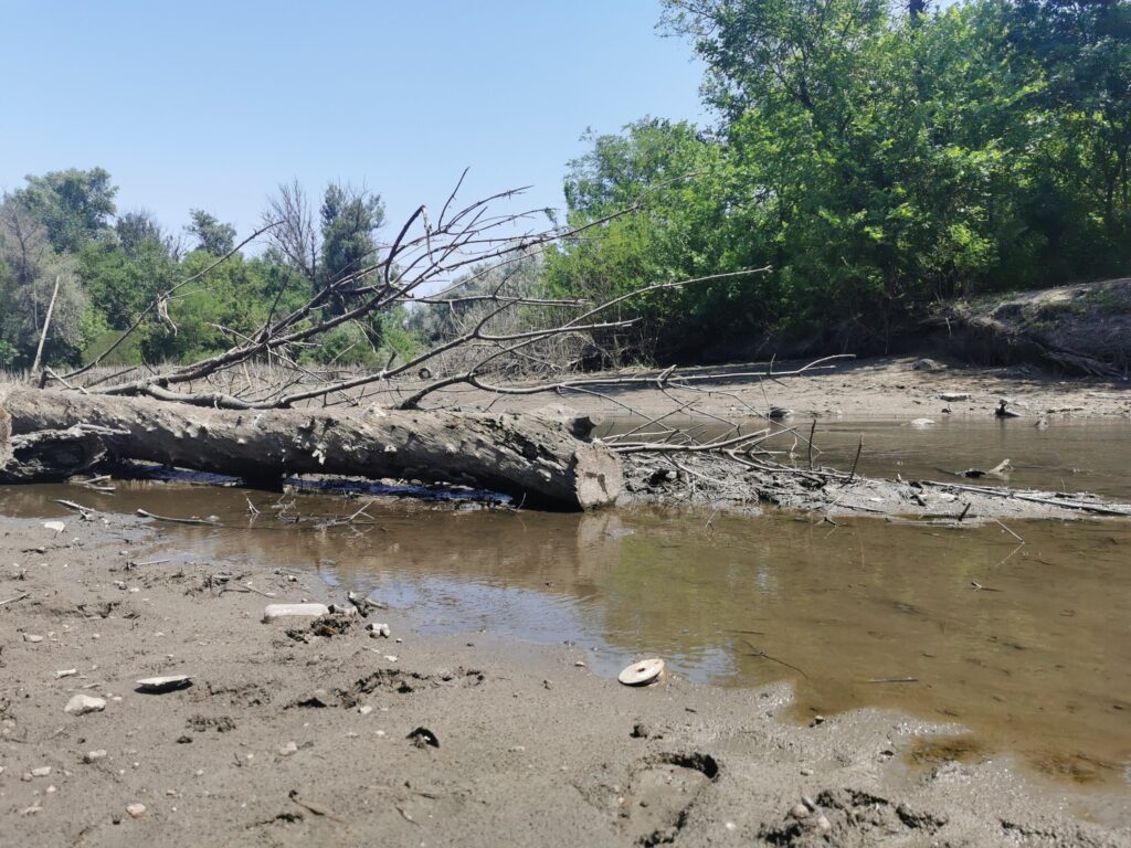 У Дніпрі перевірили якість води на Монастирському острові: що виявили У Дніпрі перевірили якість води на Монастирському острові - Дніпро Регіон