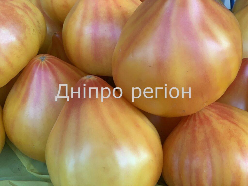 Підживлення томатів у серпні: яке добриво внести, щоб виросли великі та солодкі