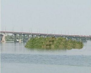 Посеред Дніпра помітили плавучий острів: як він виглядає і що собою представляє