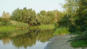 У Дніпрі і Самарі виявили кишкову паличку