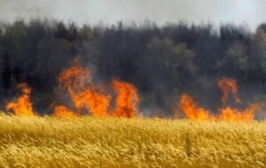 Пекло біля Блакитних озер на Дніпропетровщині. Чорний дим і пожежа охопили «Green Park»
