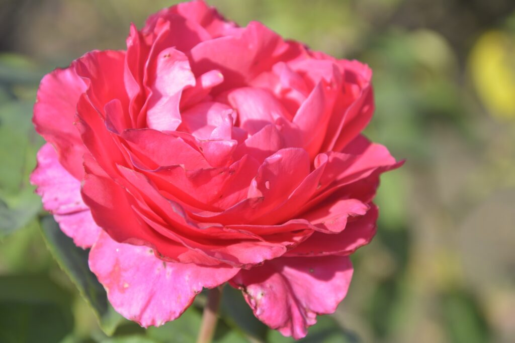 16 вересня – день святої Людмили: прикмети та заборони дня 16 вересня – день святої Людмили: прикмети та заборони дня