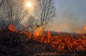 П’ятий рівень: у Дніпрі та області оголошено надзвичайний рівень пожежної небезпеки