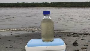 Дно Каховського водосховища перетворилися на величезне джерело забруднення, – еколог