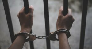 Матір з співмешканцем ґвалтували та розбещували малолітніх дітей фіксуючи на телефон: у Кривому Розі затримано сімейну пару