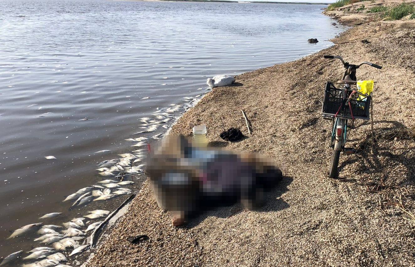 Микола Олександрович помер миттєво: на березі Каховського водосховища росіяни вбили рибака