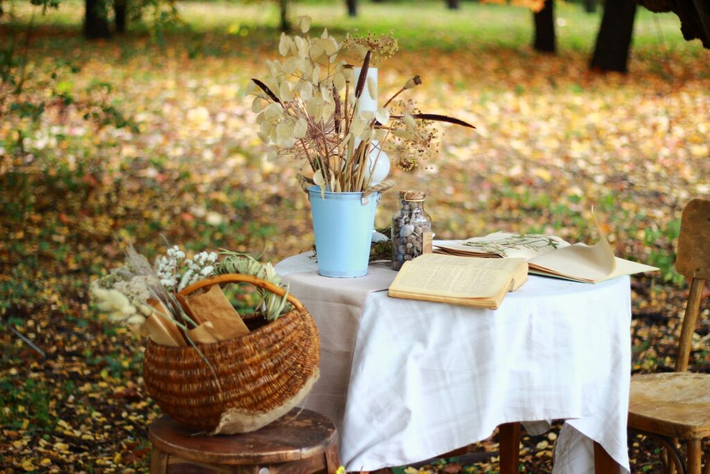 Трав’яний чай, екскурсії, фотозони: Ботанічний сад Дніпра запрошує у гості Трав’яний чай, екскурсії, фотозони: Ботанічний сад Дніпра запрошує у гості