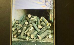 Ошукав людей на 50 тис. грн: житель Дніпропетровщини із в’язниці торгував неіснуючими дровами