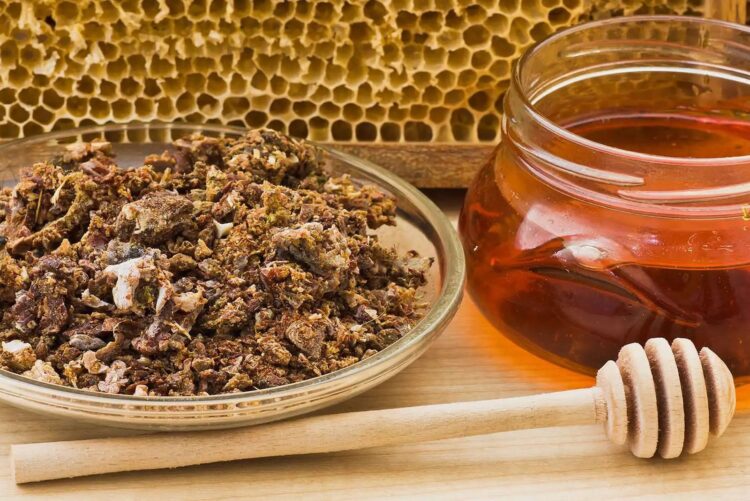 Як покращити здоров’я за допомогою продуктів бджільництва: поради експертів