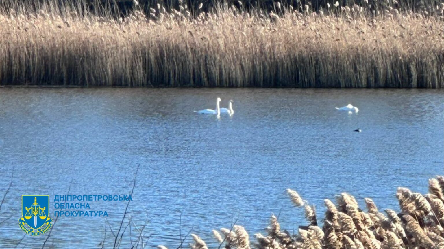 Прокуратура повернула громаді водосховище - Дніпро Регіон