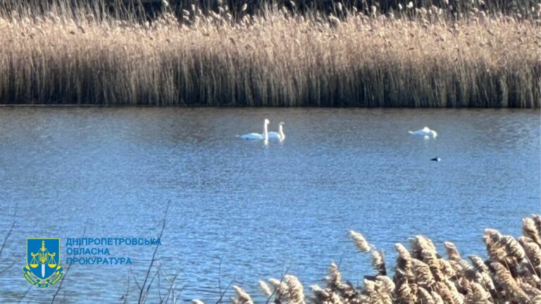 Прокуратура повернула громаді водосховище - Дніпро Регіон