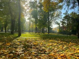 Дощ, сніг, морози: якою буде погода у Дніпрі в листопаді
