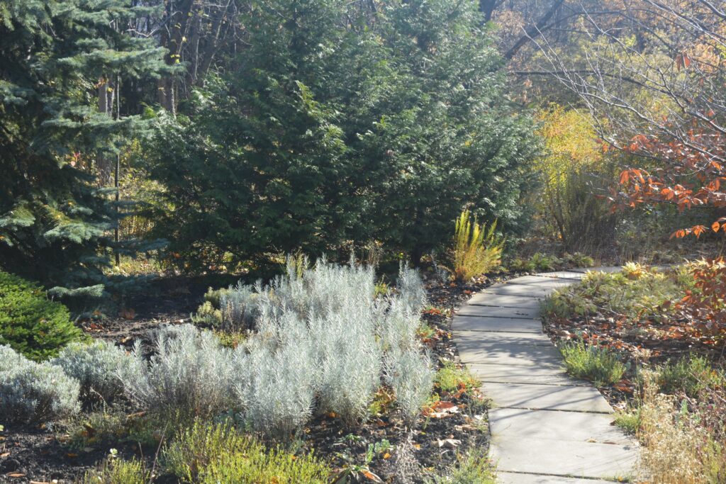 16 листопада – день святого апостола та євангелиста Матфея: прикмети та заборони дня 16 листопада – день святого апостола та євангелиста Матфея: прикмети та заборони дня