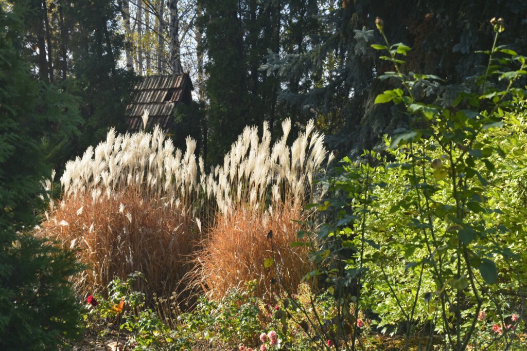 4 листопада – день преподобного Меркурія Постника Печерського: прикмети та заборони дня 4 листопада – день преподобного Меркурія Постника Печерського: прикмети та заборони дня