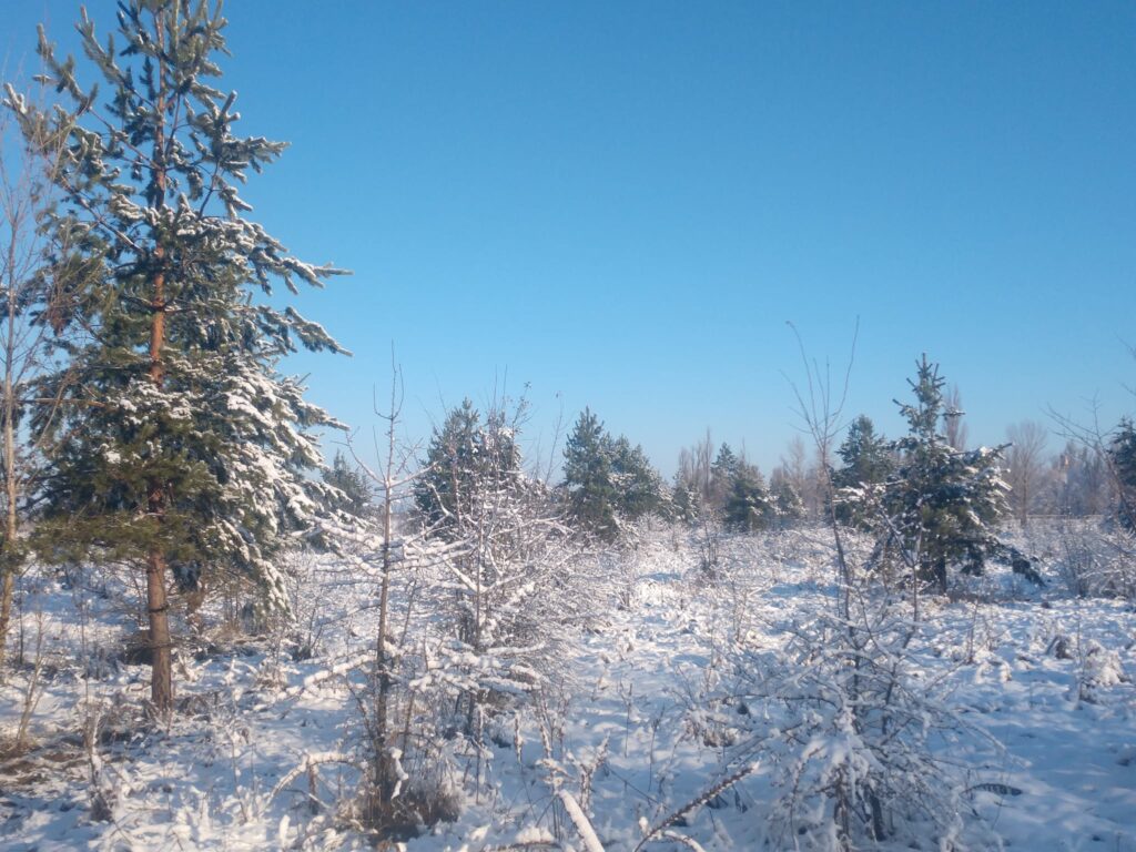 28 листопада – день святого Стефана Нового: прикмети та заборони дня