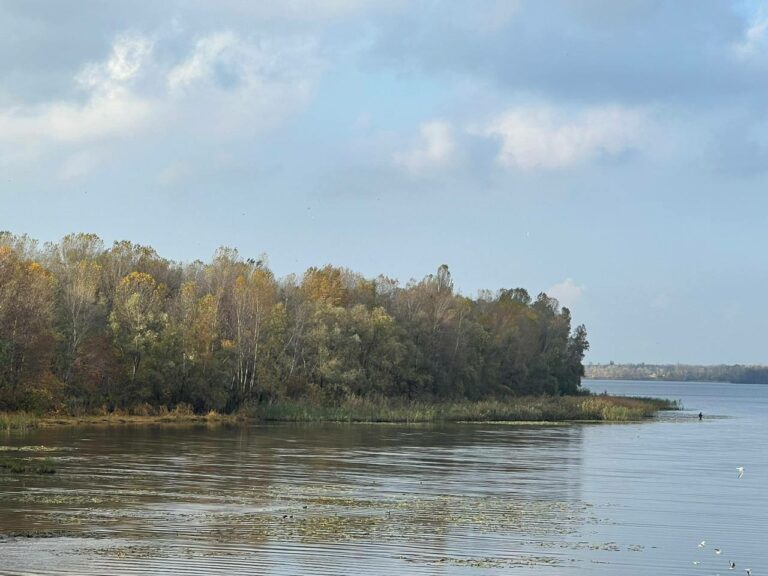 Підприємці незаконно привласнили острів - Дніпро Регіон