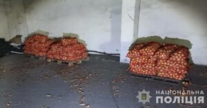 Цілу ніч виносив цибулю із складу: під Дніпром чоловік вкрав 350 кг овочів