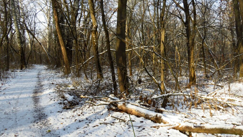 7 грудня – день святого Амворосія: прикмети та заборони дня