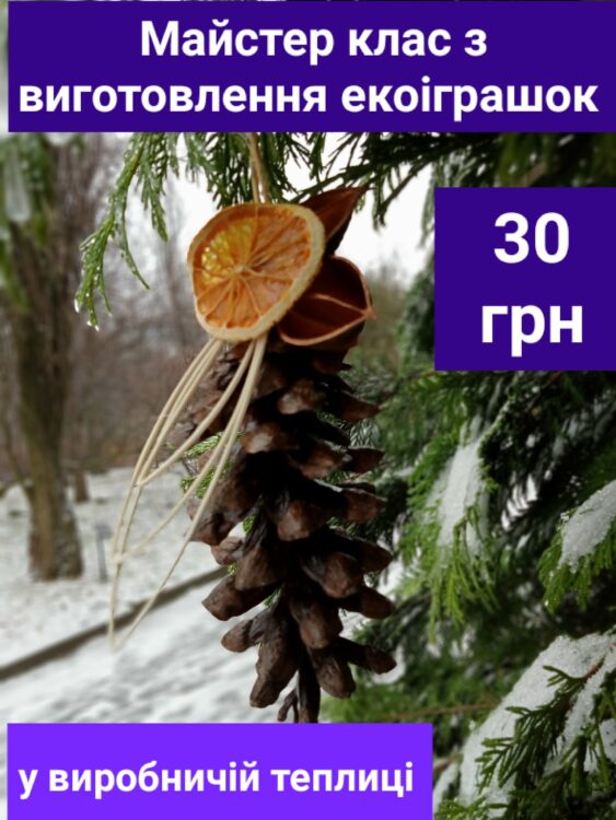 Прикрашання ялинки, майстер-класи, чай та екскурсії: ботанічний сад Дніпра запрошує на новорічну еко-подію