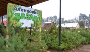У Кривому Розі закликають перевіряти новорічні ялинки на радіацію