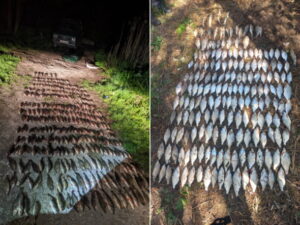 У Дніпропетровській області масово виявляють рибалок-браконьєрів