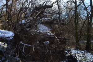 У Дніпропетровській області зафіксували вітровал