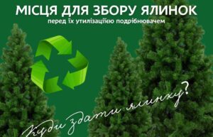Куди у Дніпрі здати новорічну ялинку