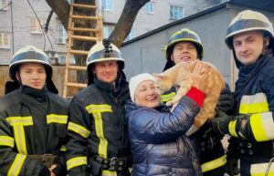 Рятувальники Дніпра зняли котика з дерева