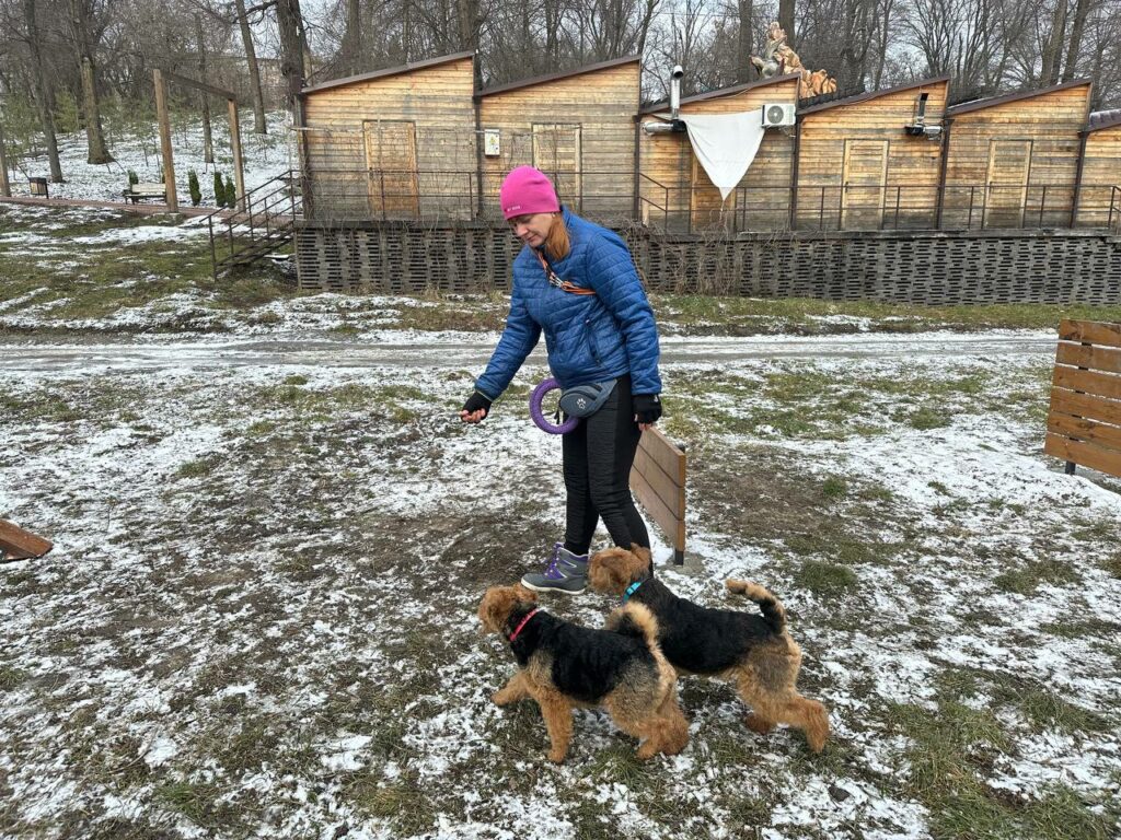 Майданчик для тренування собак у парку Зелений Гай - Дніпро Регіон