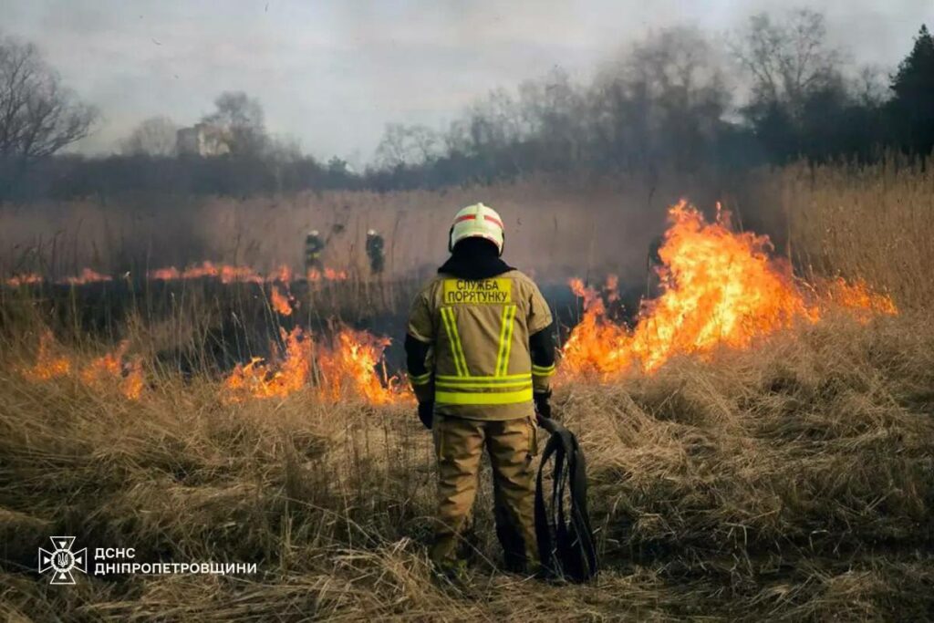 Рятувальники 58 разів гасили пожежі в екосистемах - Дніпро Регіон