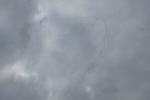 На Дніпропетровщині триває міграція журавлів: тисячі птахів пролітають над областю