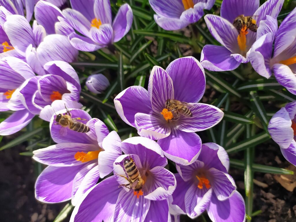 1 квітня 2026: яке сьогодні свято, прикмети та заборони дня