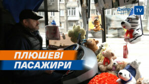Унікальний автобус Дніпра: плюшеві ведмедики піднімають настрій пасажирам (відео)