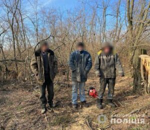 На Дніпропетровщині затримали чорних лісорубів. Поліція просить повідомляти про такі випадки