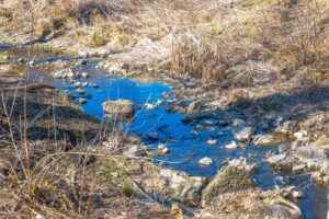 У Дніпрі шукають витоки річки Бельби (фото)