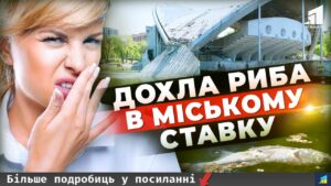 У Дніпрі в парку масово гине риба. З’явились подробиці (відео)