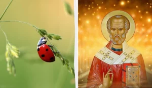 Сьогодні Микола Літній. Звичаї, традиції, що не можна робити