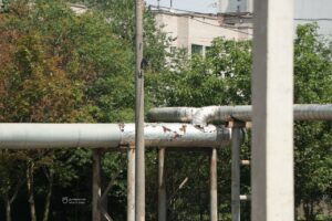 У Дніпрі критичну інфраструктуру готують до зими