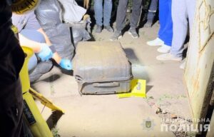 За вбивство 10-річної Дарини Шевченко у Кривому Розі поліцейські затримали її матір