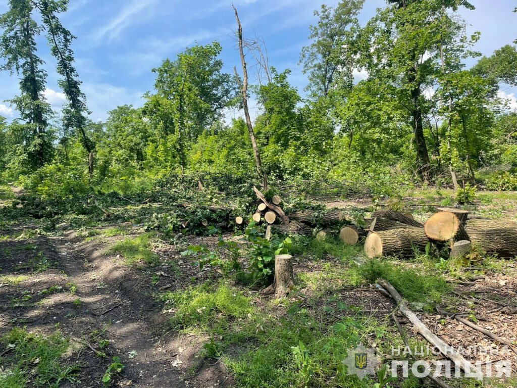 Незаконно перевозив дрова. На Дніпропетровщині затримали чоловіка, який пропонував хабаря поліцейському