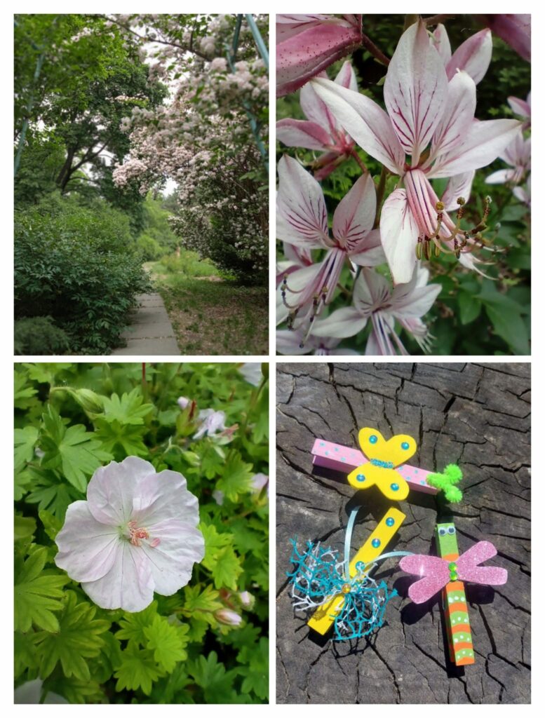 У Дніпрі ботсад запрошує на екскурсію 8 червня