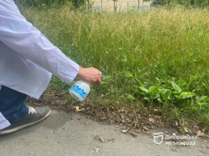 У Дніпрі боряться з амброзією агрохімічним методом: як діє