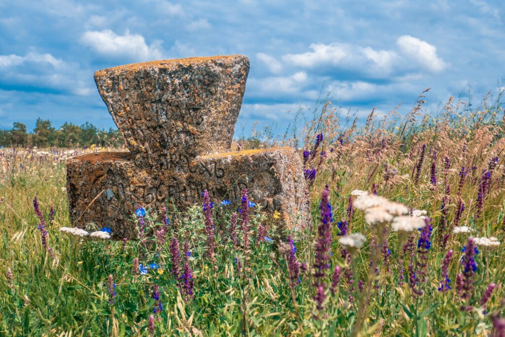 На Дніпропетровщині показали найстаріший цвинтар часів запорізького козацтва (фото)