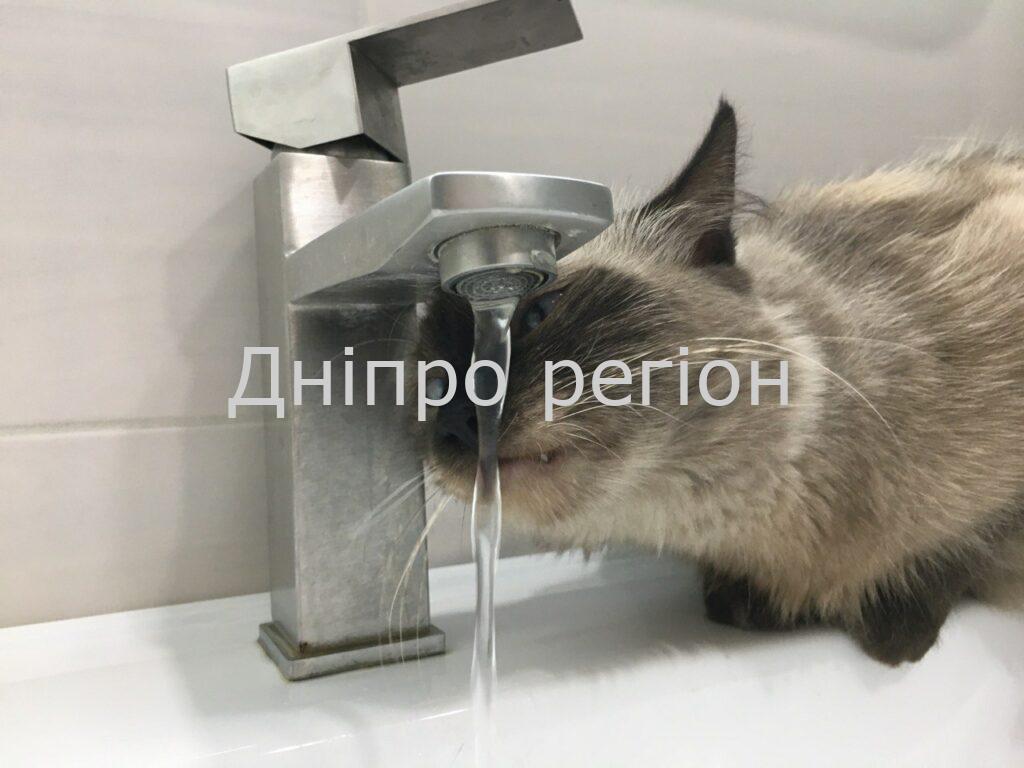 У Дніпрі масштабне відключення води з 8 по 12 вересня (адреси) У Дніпрі з 1 по 5 липня 2024 року боржникам відключать воду: перелік адрес