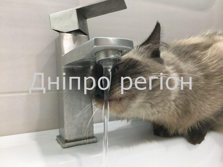 Масштабне відключення. Де в Дніпрі на цьому тижні не буде води (адреси) У Дніпрі з 1 по 5 липня 2024 року боржникам відключать воду: перелік адрес