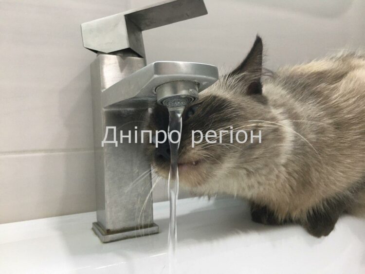 У Дніпрі з 1 по 5 липня 2024 року боржникам відключать воду: перелік адрес