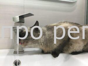 У Дніпрі масштабне відключення води 19 червня. Великий список адрес