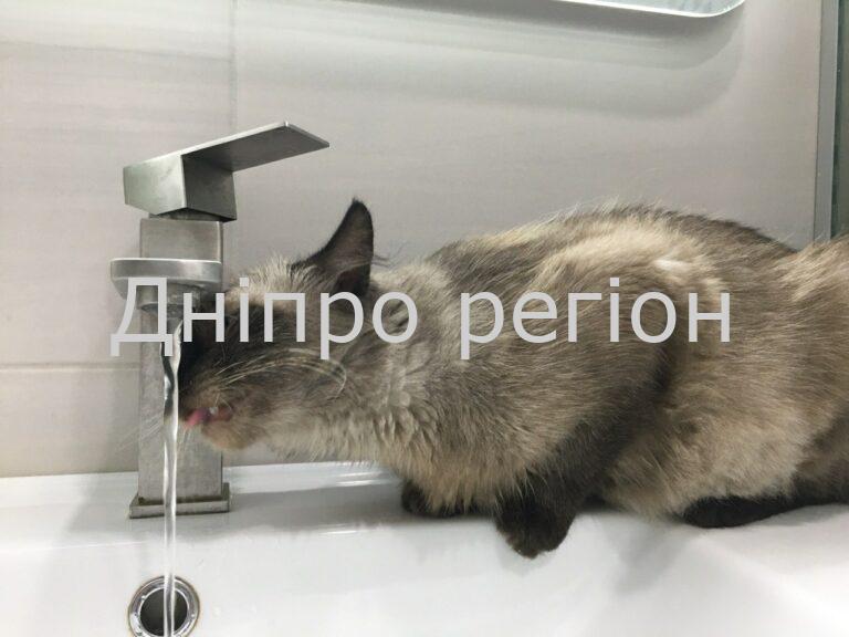 У Дніпрі з 24 по 28 червня боржникам відключать воду. Списки і дати В трьох громади Дніпропетровщини призупиняється водопосточання