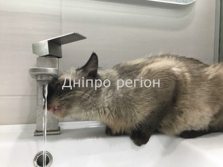 В трьох громади Дніпропетровщини призупиняється водопосточання