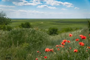 На Дніпропетровщині на місці водосховища відроджується Великий Луг (відео)